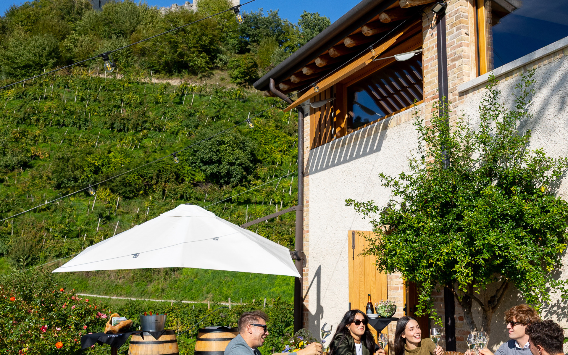 Wine tasting with a view in the Conegliano Valdobbiadene hills